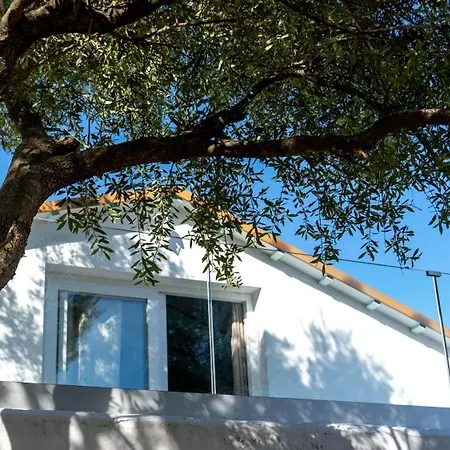 Apartamento Bellavista Iii *